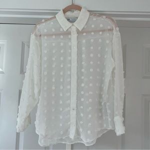 Beautiful Sheer Polka Dot Shirt